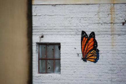 Graffiti de mariposa. Photo by Kristel Hayes on Unsplash