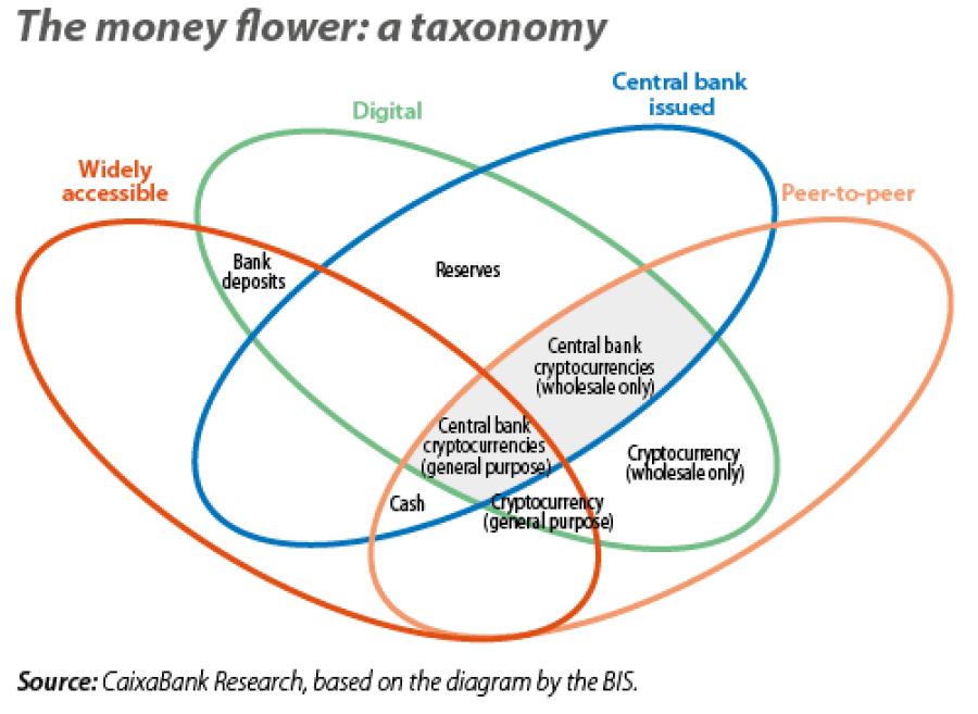 The money flower: a taxonomy