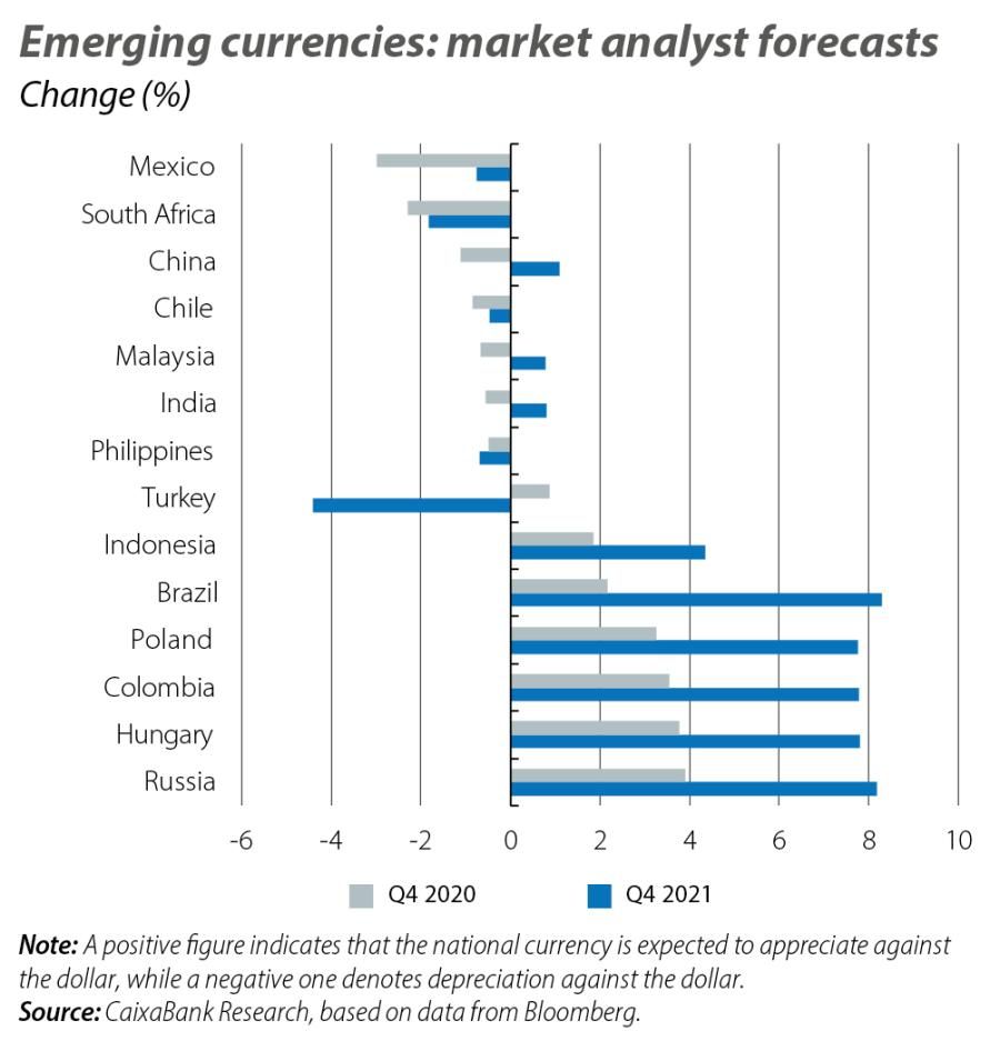 Emerging currencies: market analyst forecasts