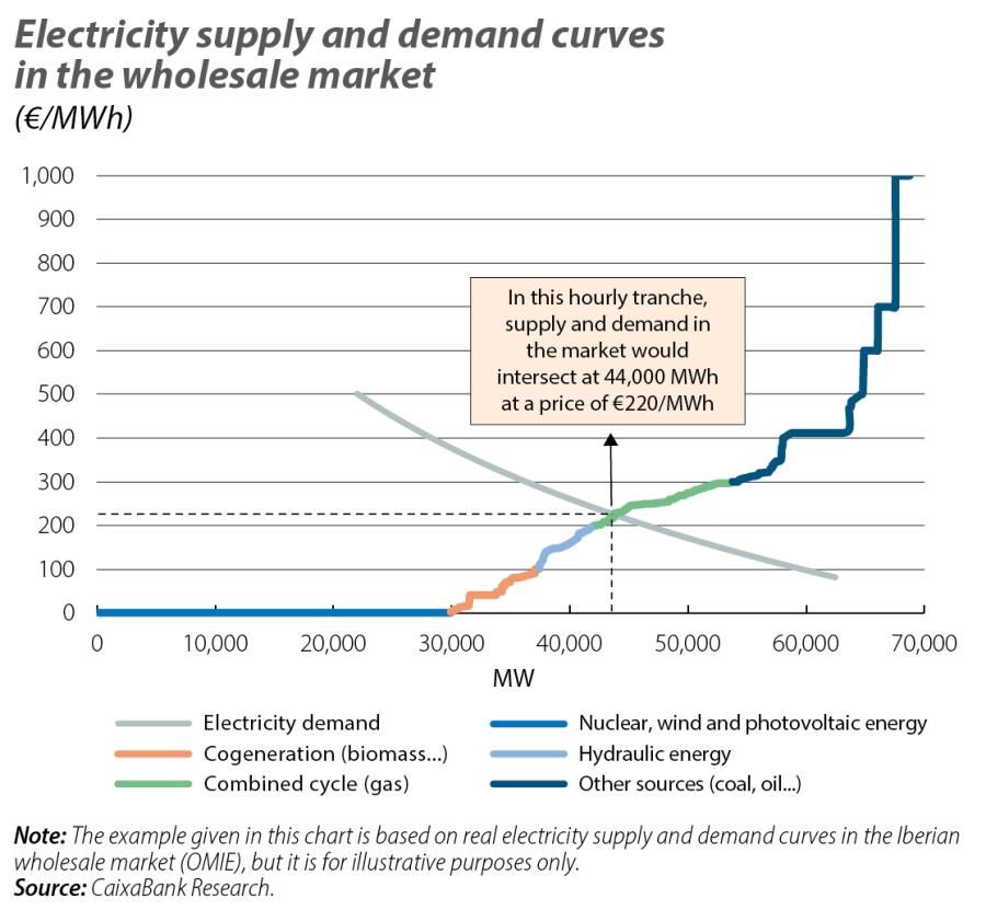 Electricity supply and demand curves in the wholesale market