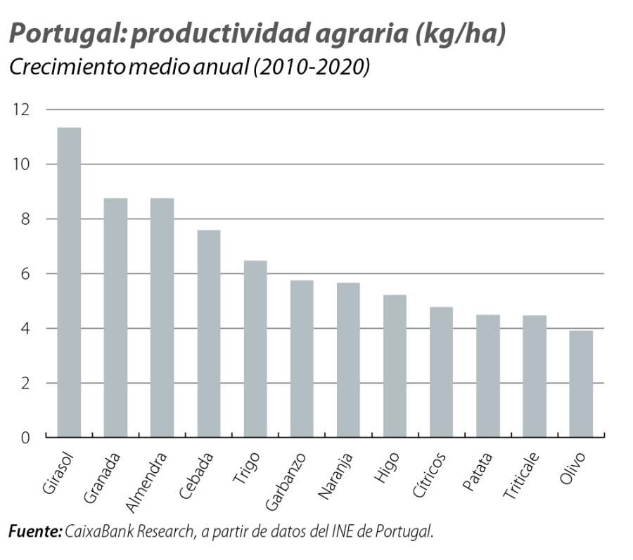 Portugal: productividad agraria (kg/ha)