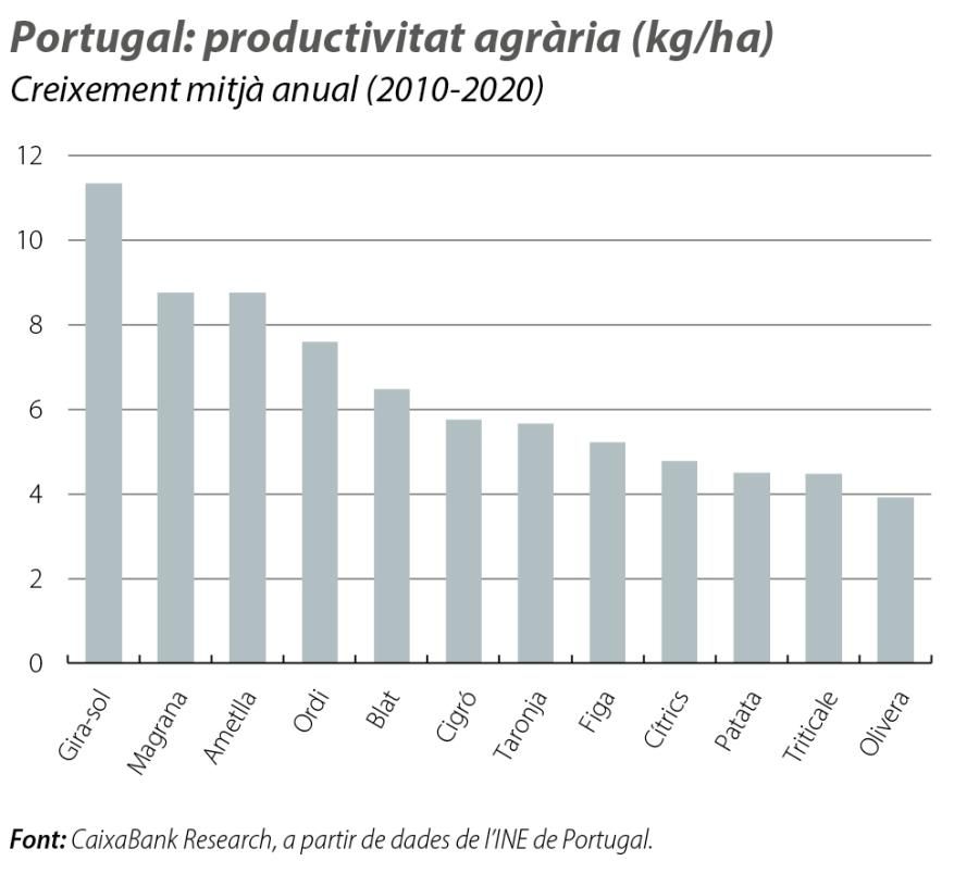 Portugal: productivitat agrària (kg/ha)
