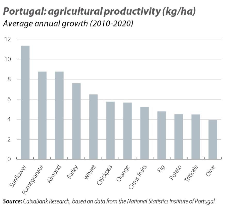 Portugal: agricultural productivity (kg/ha)