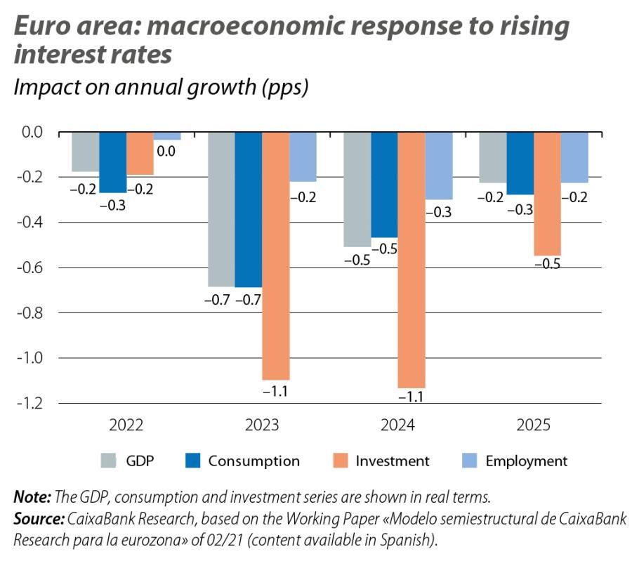 Euro area: macroeconomic response to rising interest rates