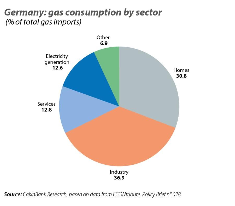 Germany: gas consumption by sector