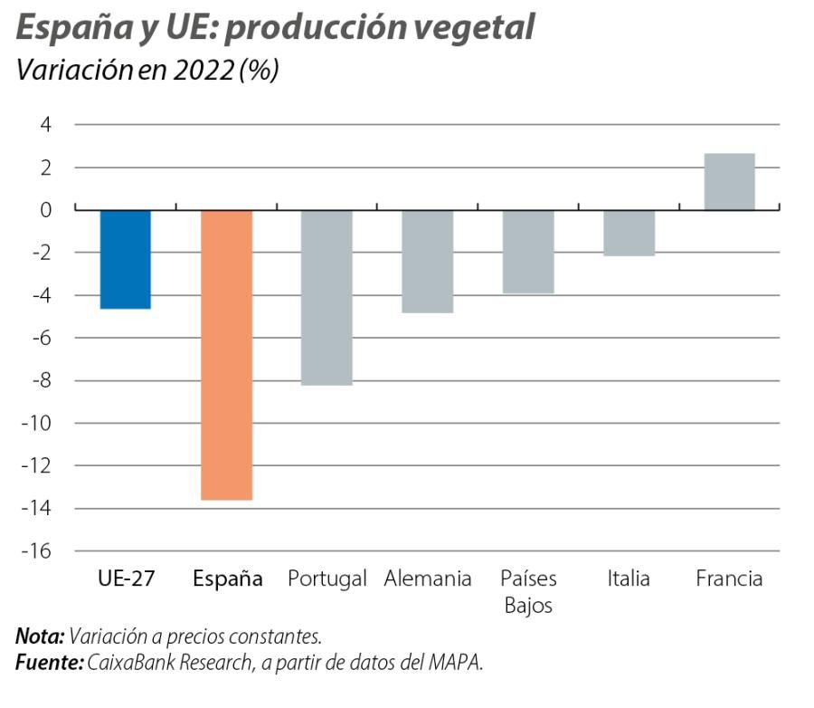 España y UE: producción vegetal
