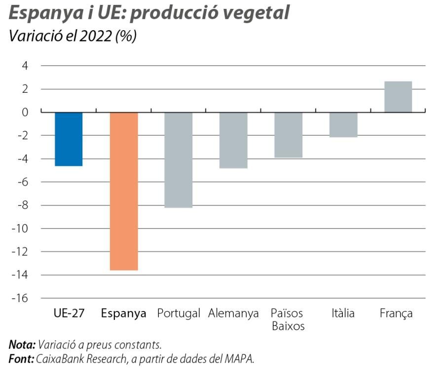 Espanya i UE: producció vegetal