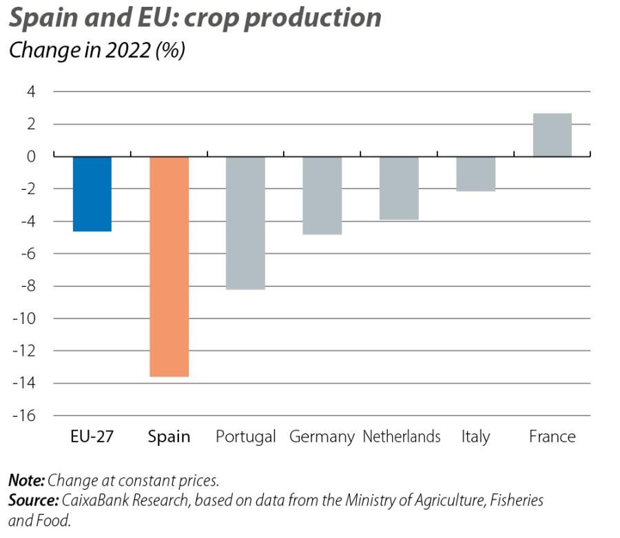 Spain and EU: crop production
