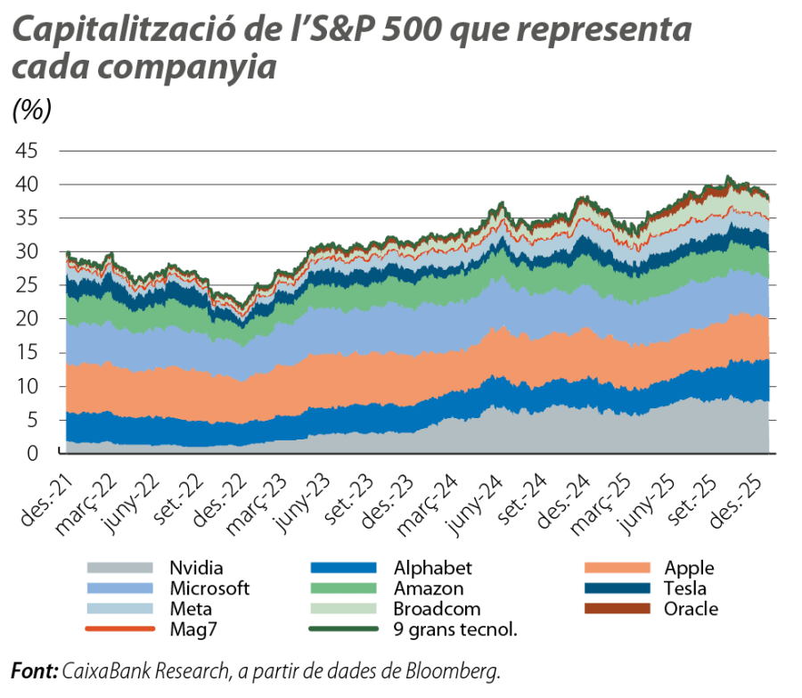 Capitalització de l’S&P 500 que representa cada companyia