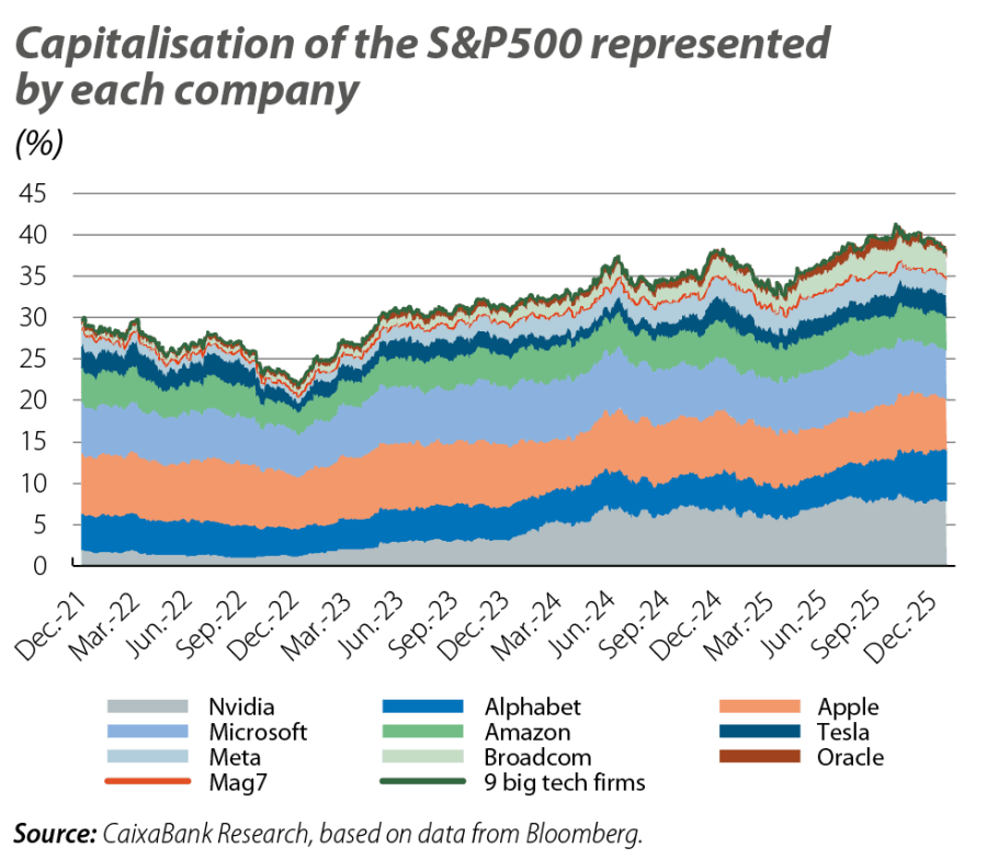 Capitalisation of the S&P500 represented by each company