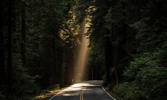 Carretera entre bosques y haz de luz
