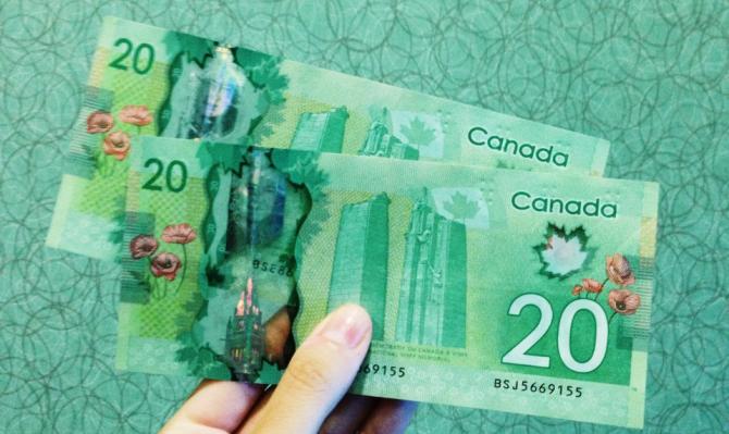Billetes de 20 dólares canadienses sobre fondo verde