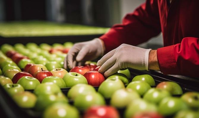 cerrar-mano-arreglando-manzanas_petit