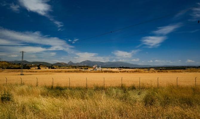 Campo de trigo con poste eléctrico. Photo by Richard de Ruijter on Unsplash
