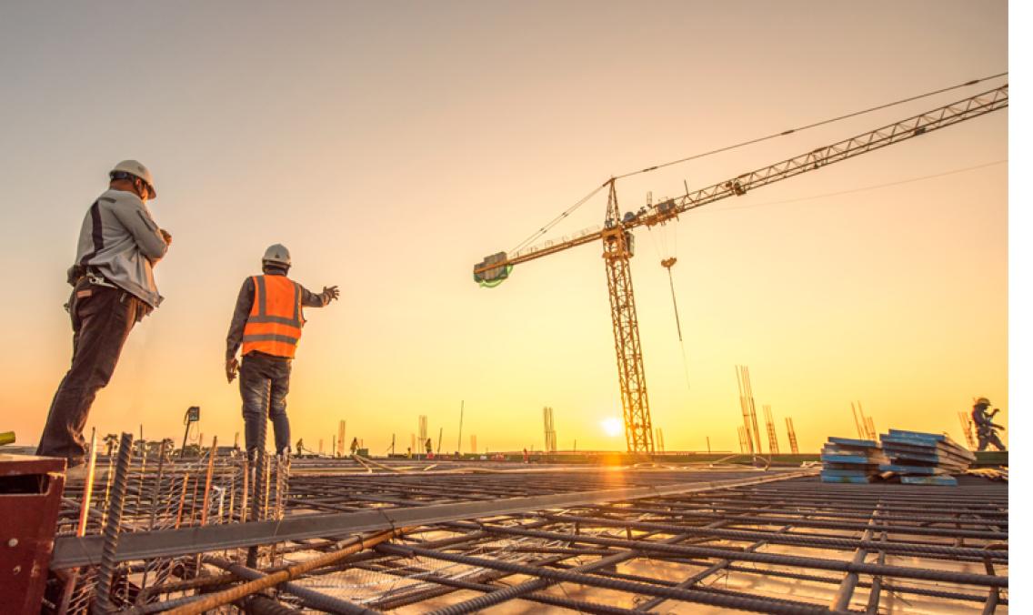 pag-7_is-observatorio_2024