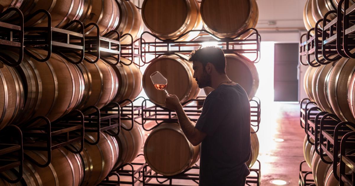 El sector del vino español, símbolo de tradición y referente mundial