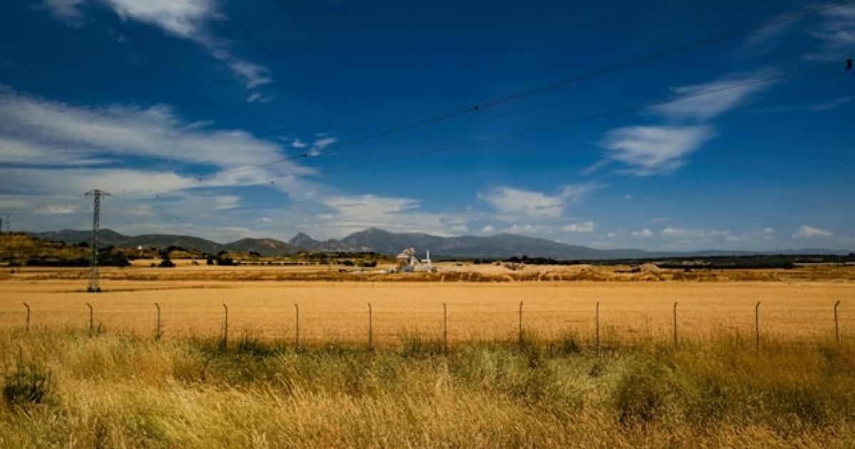 Spain in the face of the new energy shock: a comparison with Europe