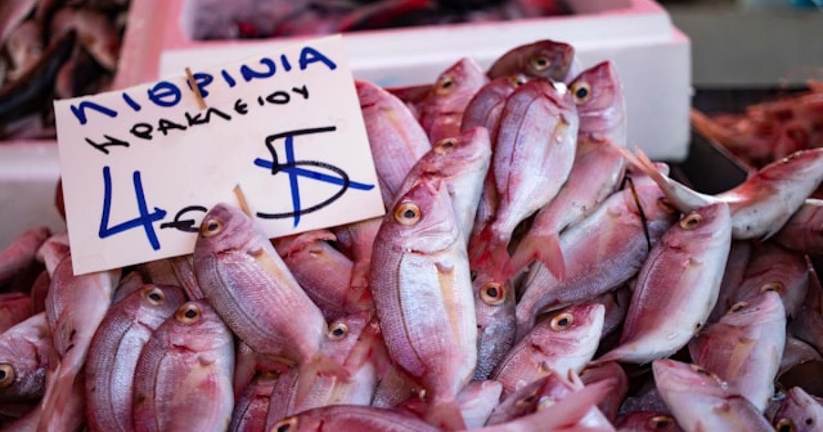 European inflation: taking stock of the Middle East shock