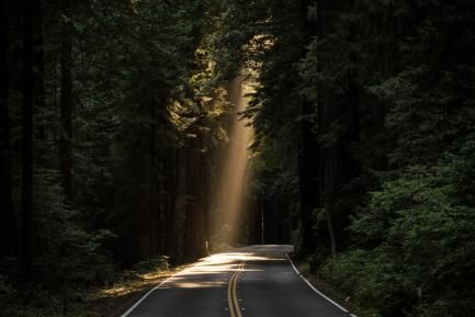 Carretera entre bosques y haz de luz