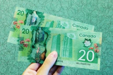 Billetes de 20 dólares canadienses sobre fondo verde