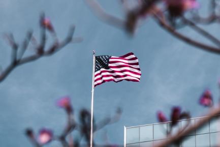 Bandera estadounidense y cerezos en flor