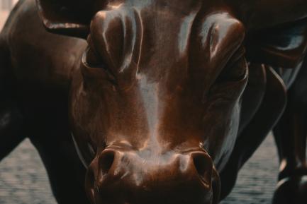 Detalle de la escultura del toro de Wall Street, NY.