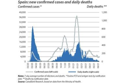 Spain: new conrmed cases and daily deaths
