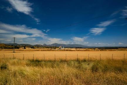 Campo de trigo con poste eléctrico. Photo by Richard de Ruijter on Unsplash