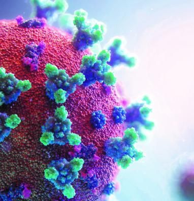 Imagen microscópica de coronavirus