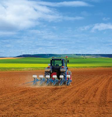 Informe Sectorial Agroalimnetario 2023