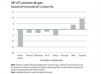 UE-27: consum de gas