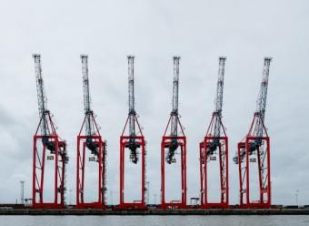 Seis gruas de mercancias en el puerto de Hamburgo. Photo by Claudio Schwarz on Unsplash