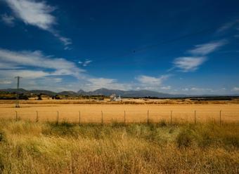 Campo de trigo con poste el&eacute;ctrico. Photo by Richard de Ruijter on Unsplash