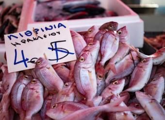 Pescado en una parada de mercado griego con un cartel con el precio para ilustrar el análisis económico de CaixaBank Research sobre inflación en Europa. Photo by Wouter Supardi Salari on Unsplash